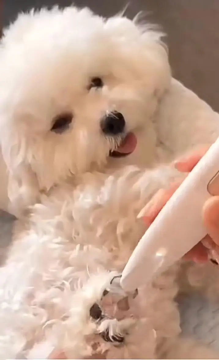 PawTrim Tondeuse électrique pour pattes de chien - Barkavo