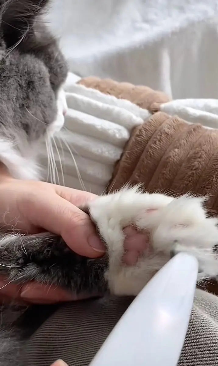 PawTrim Tondeuse électrique pour pattes de chien - Barkavo