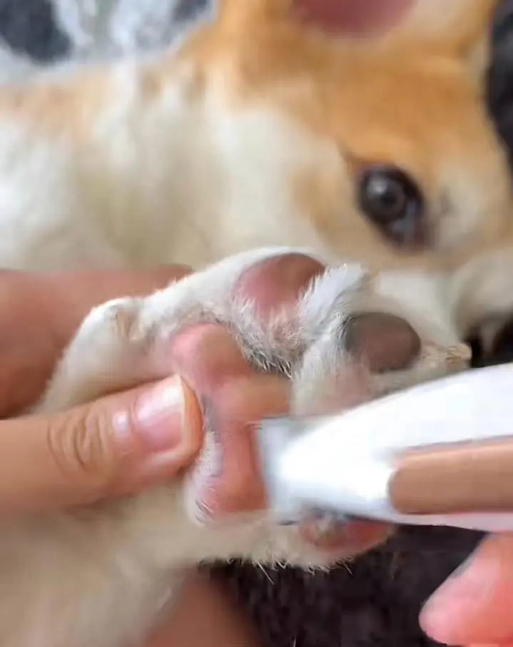 PawTrim Tondeuse électrique pour pattes de chien - Barkavo