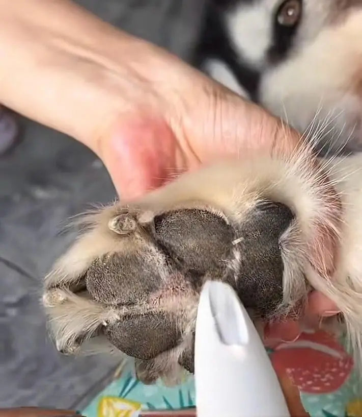 PawTrim Tondeuse électrique pour pattes de chien - Barkavo