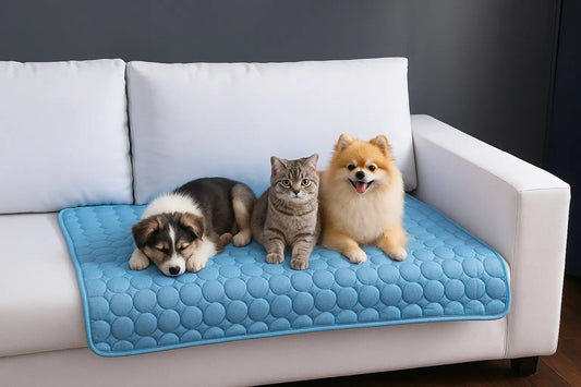 CoolMat Tapis rafraîchissant pour chien - Barkavo