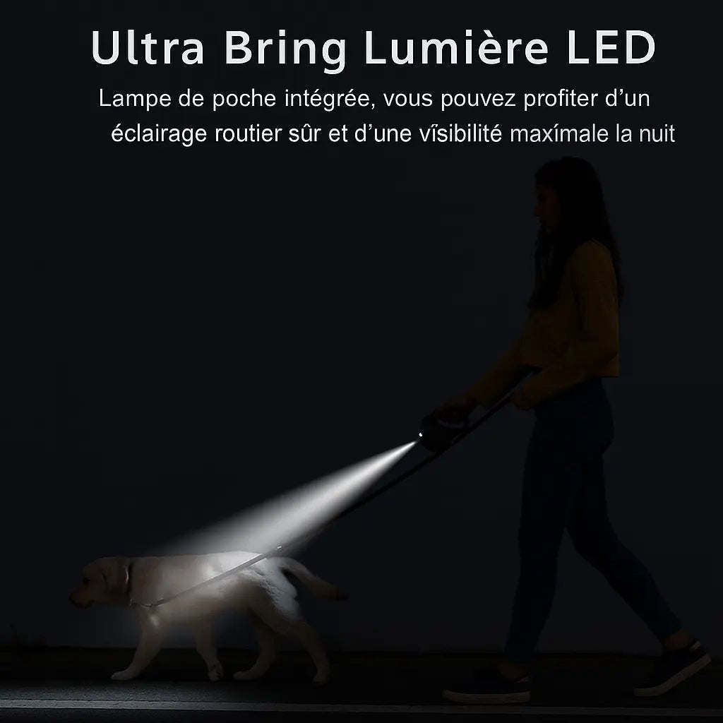 FlexiLED Laisse rétractable avec LED - Barkavo