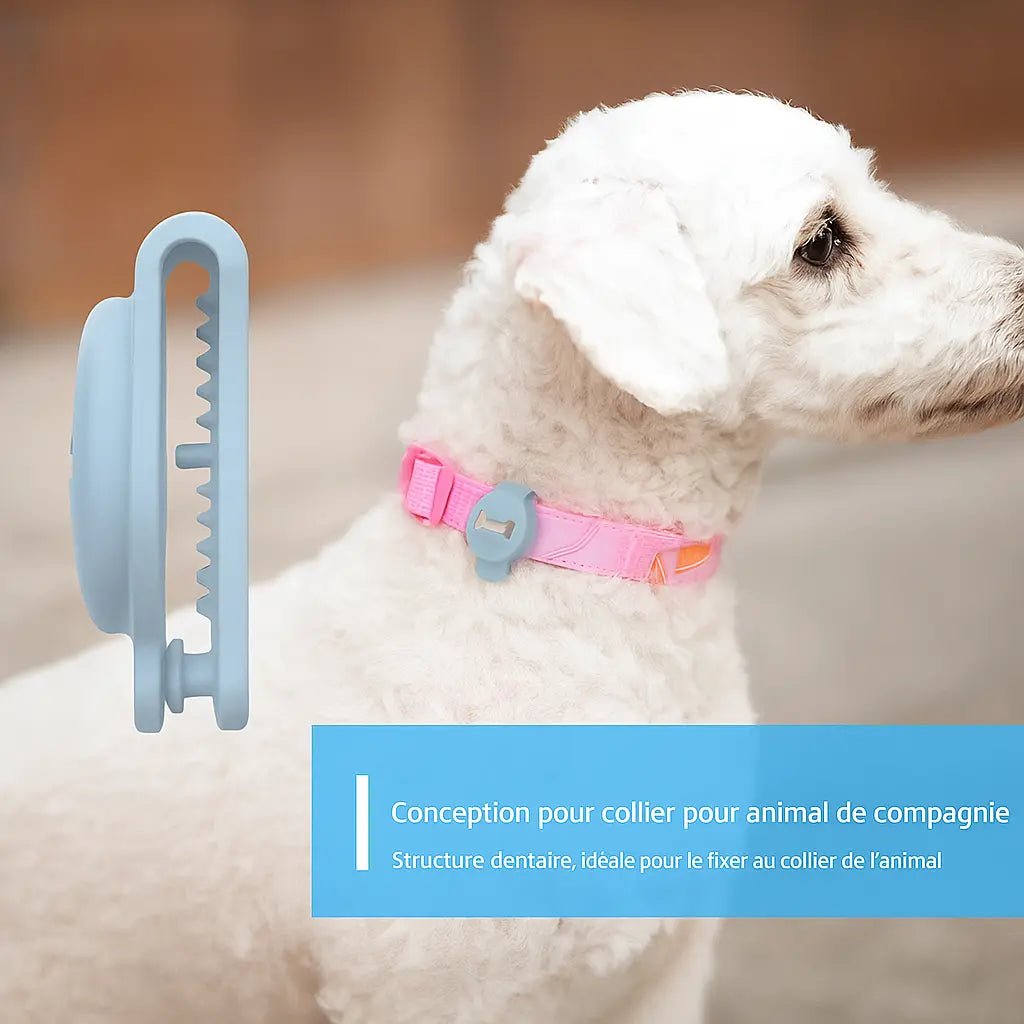 PetTrack - Traceur GPS intelligent pour animaux - Barkavo